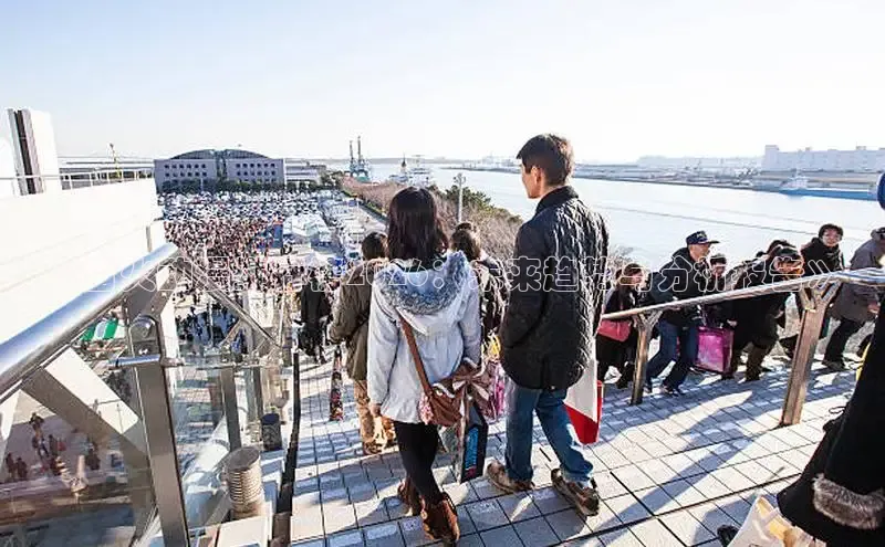 杏宇注册平台登录